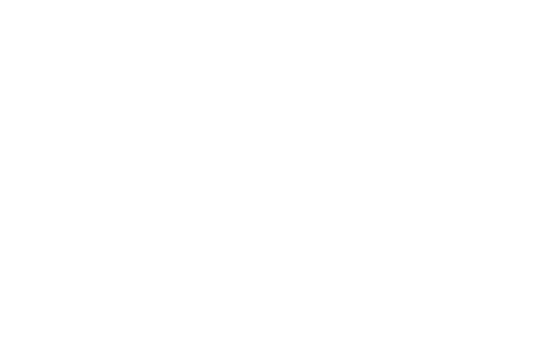 qlik-3